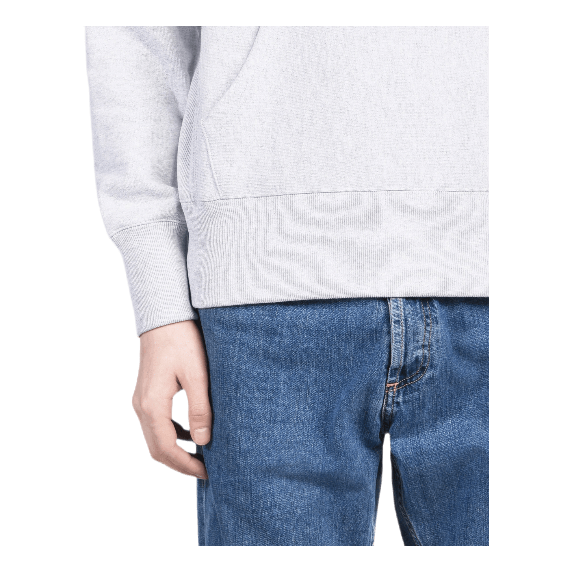 Champion Hooded Sweatshirt Gray