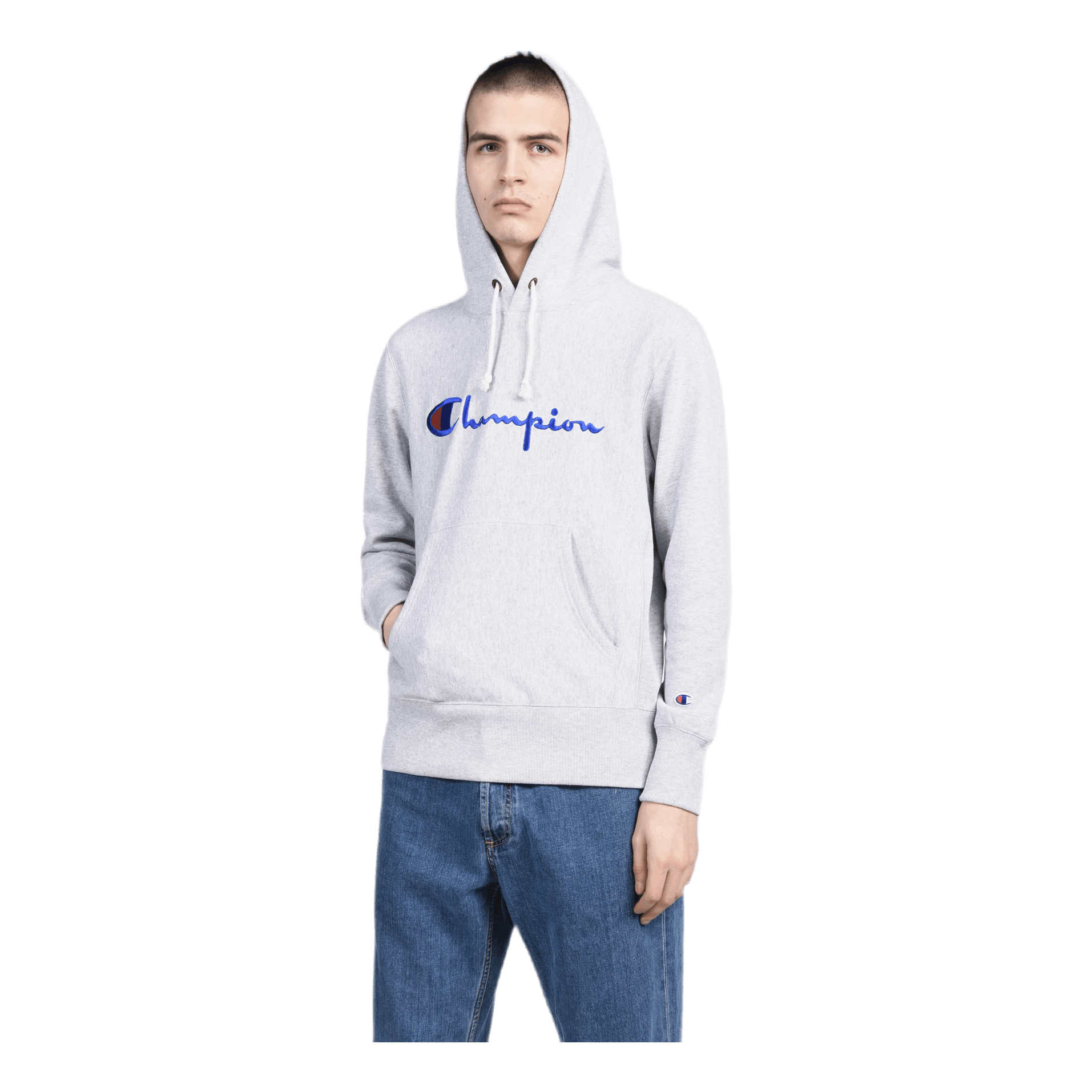 Champion Hooded Sweatshirt Gray