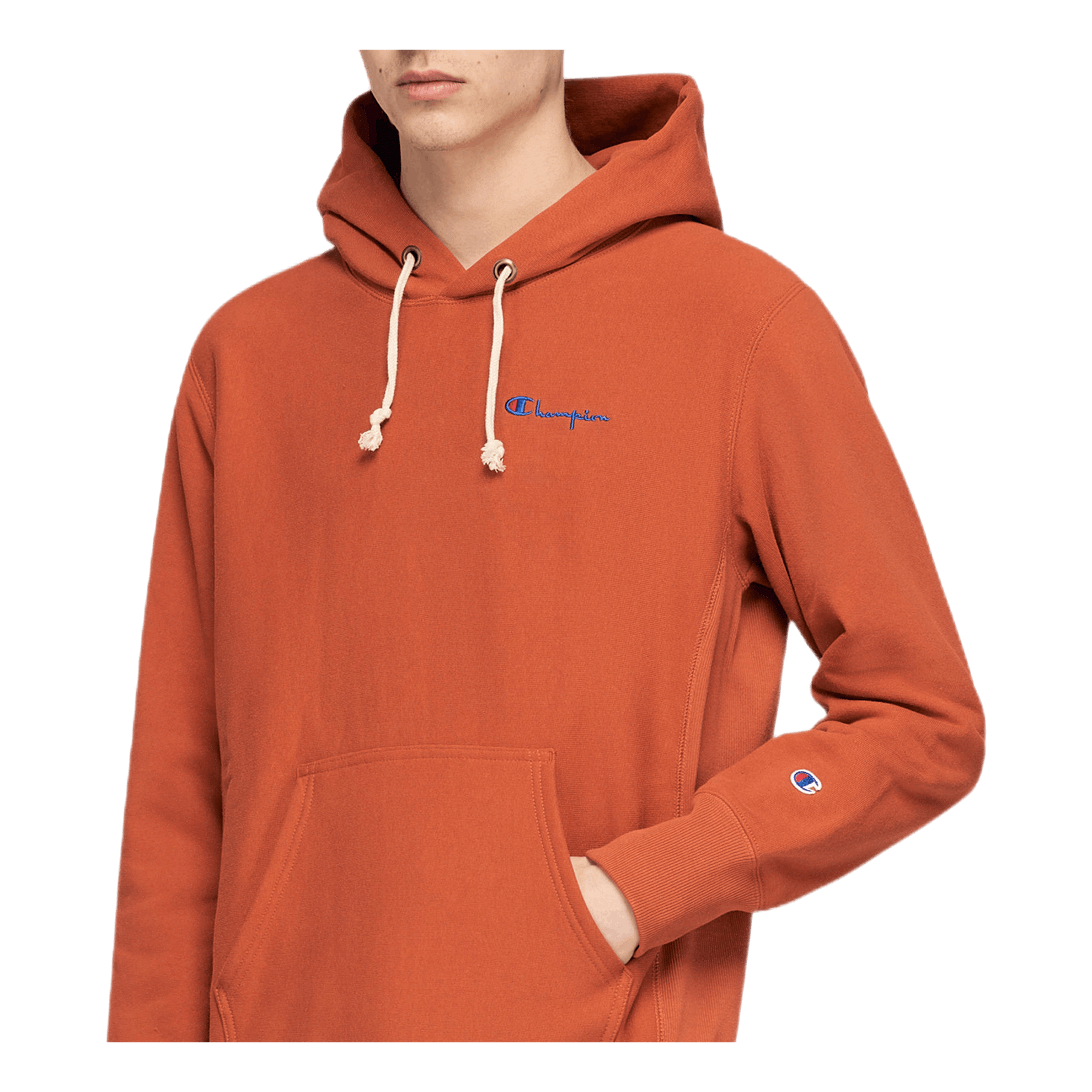 Champion Hooded Sweatshirt Brown