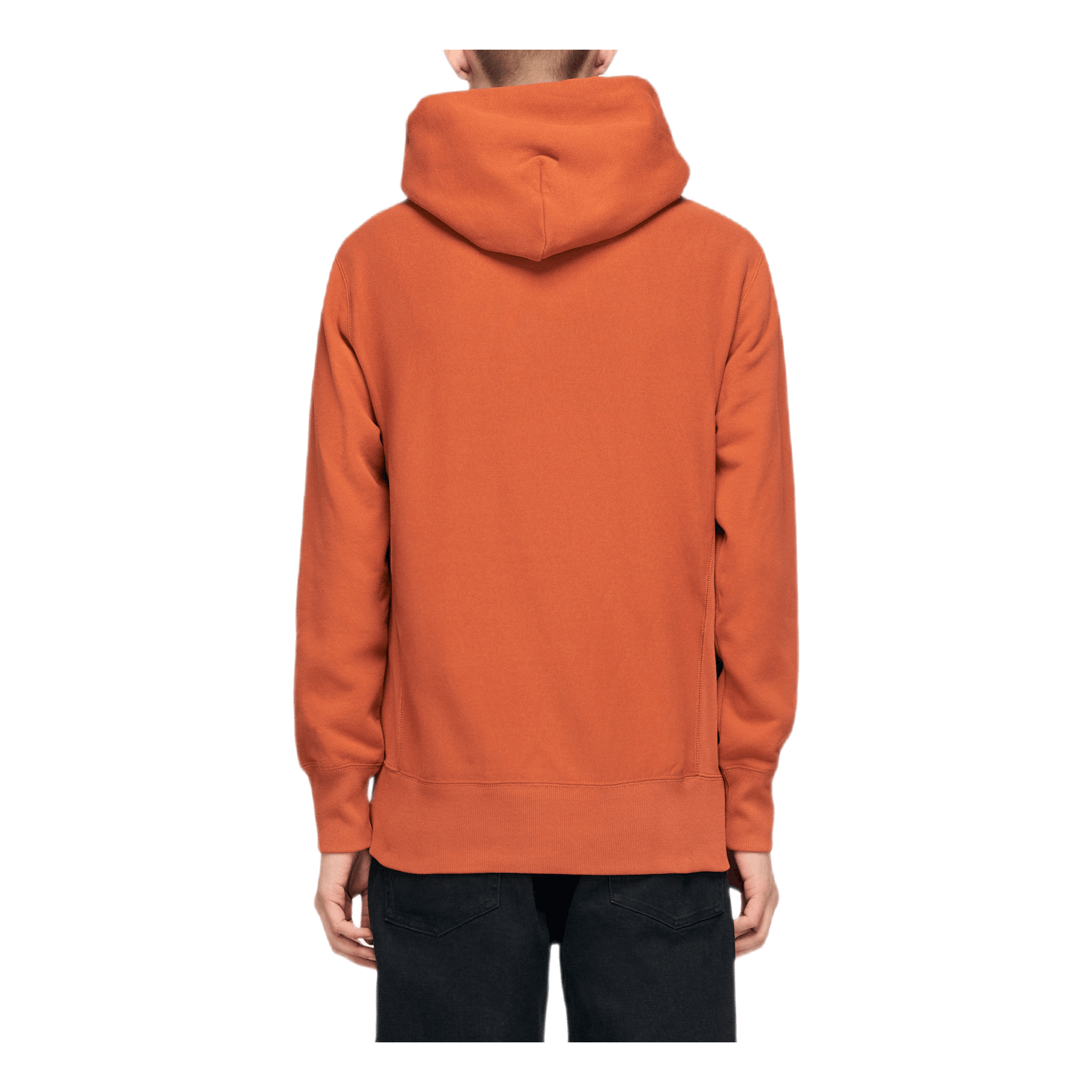 Champion Hooded Sweatshirt Brown