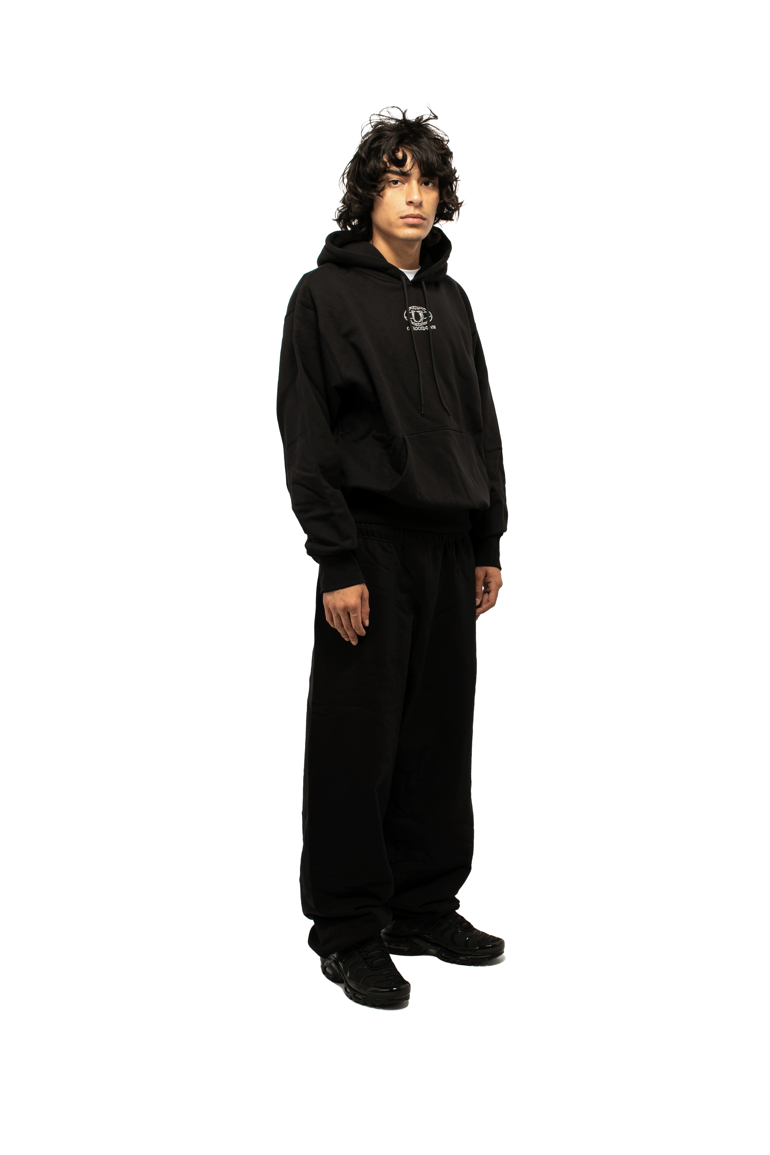 Logo Sparkle Logo Hoodie
