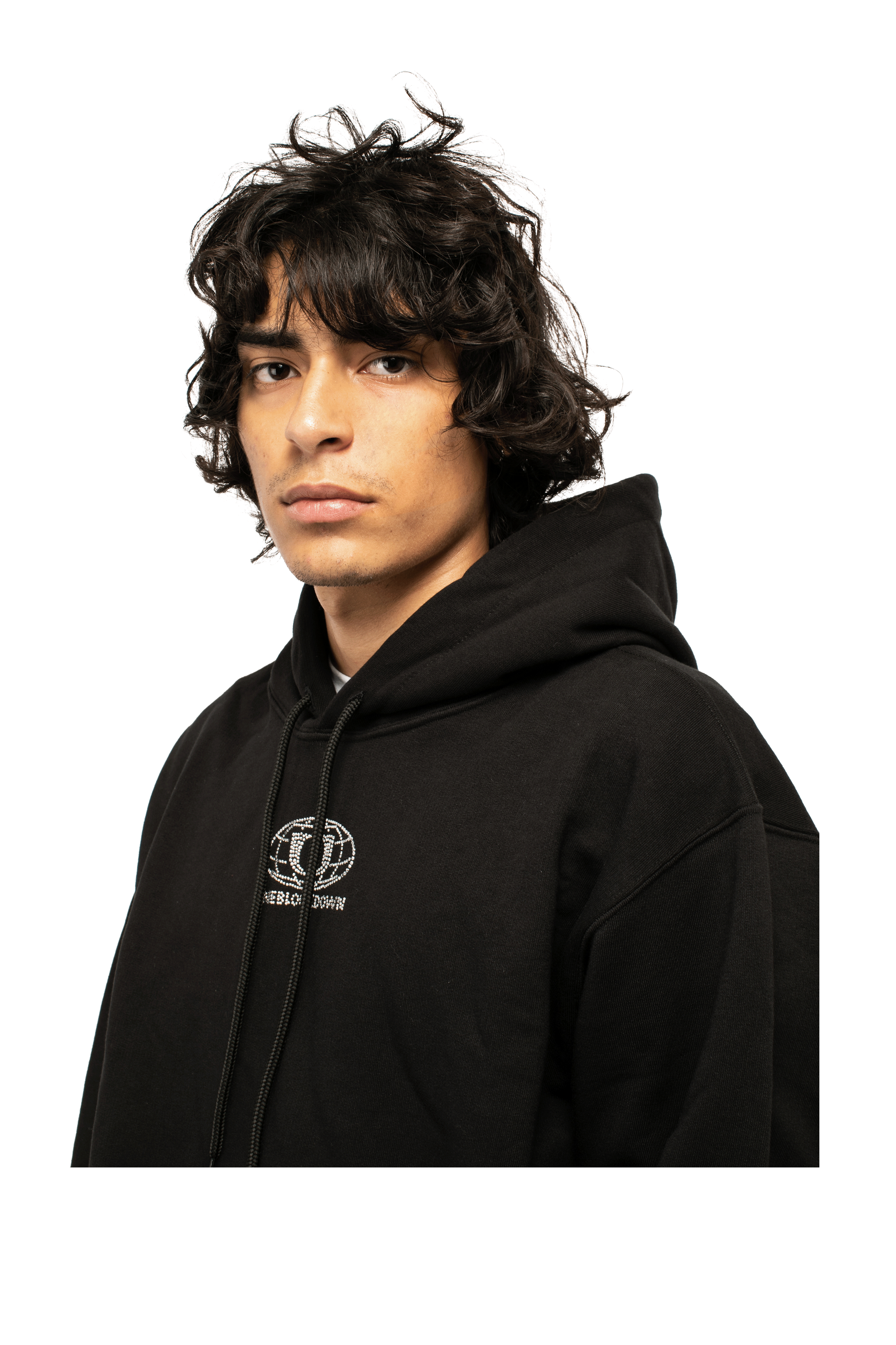 Logo Sparkle Logo Hoodie