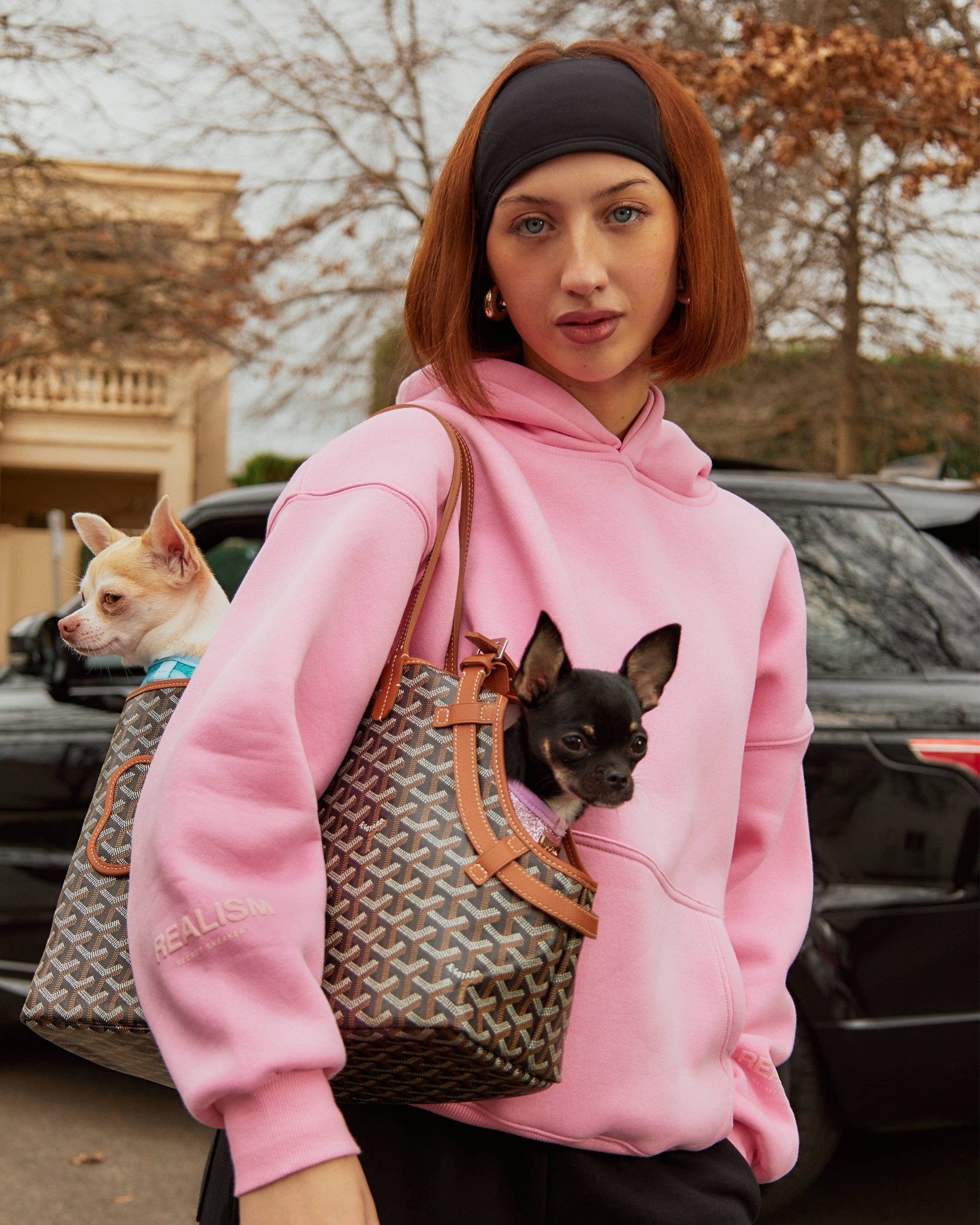 Realism SSS REALISM COURT BOXY HOODIE CANDY PINK
