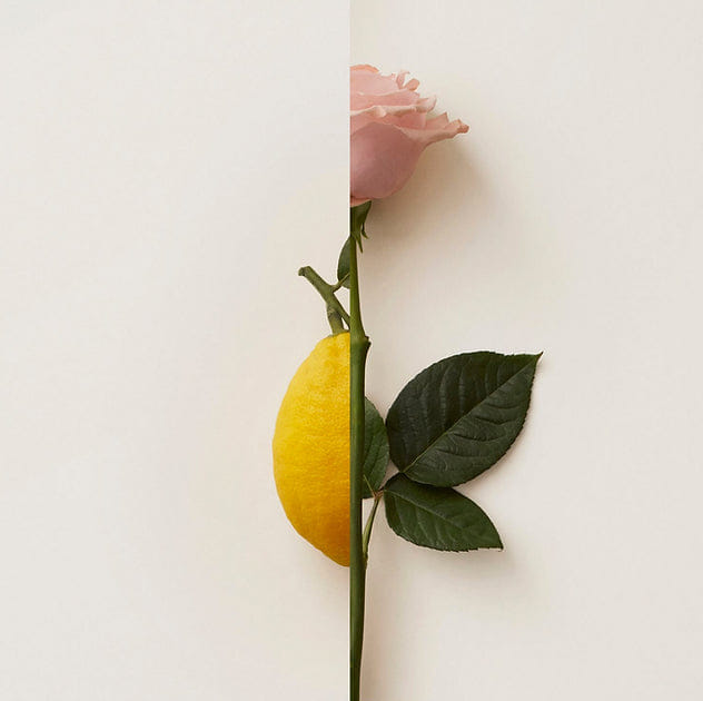 New Notes ROSA LIMONE