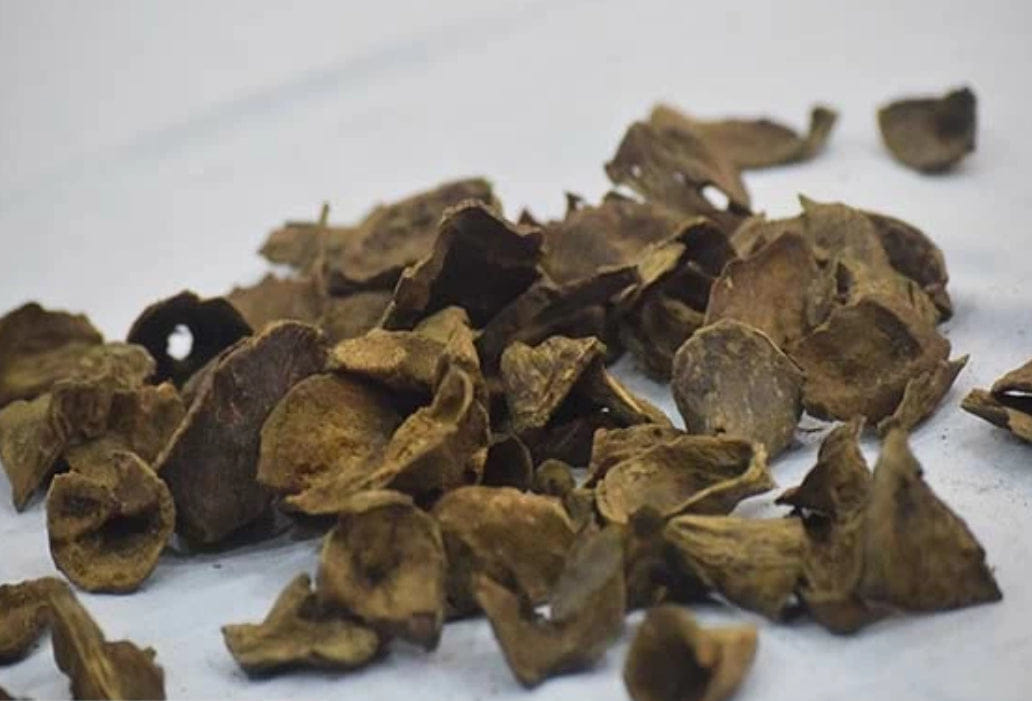 OUD Premium Ceylonese Oud Super High - Luxury Sri Lankan Bakhoor عود سيلاني سوبر مرتفع