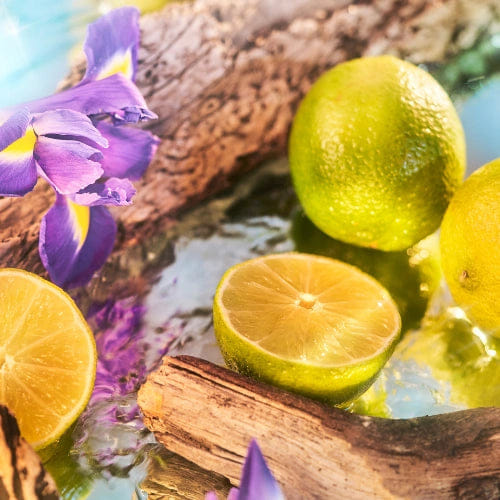 Roja Oceania Parfum