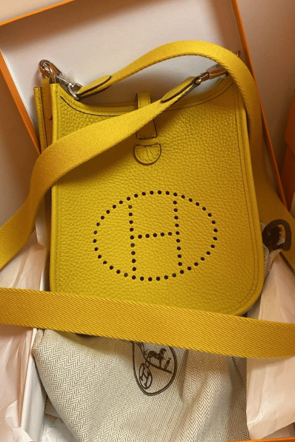 Brand New Hermès mini evelyne