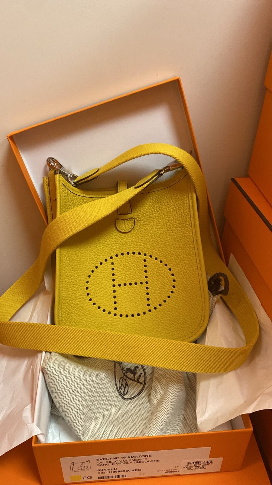 Brand New Hermès mini evelyne