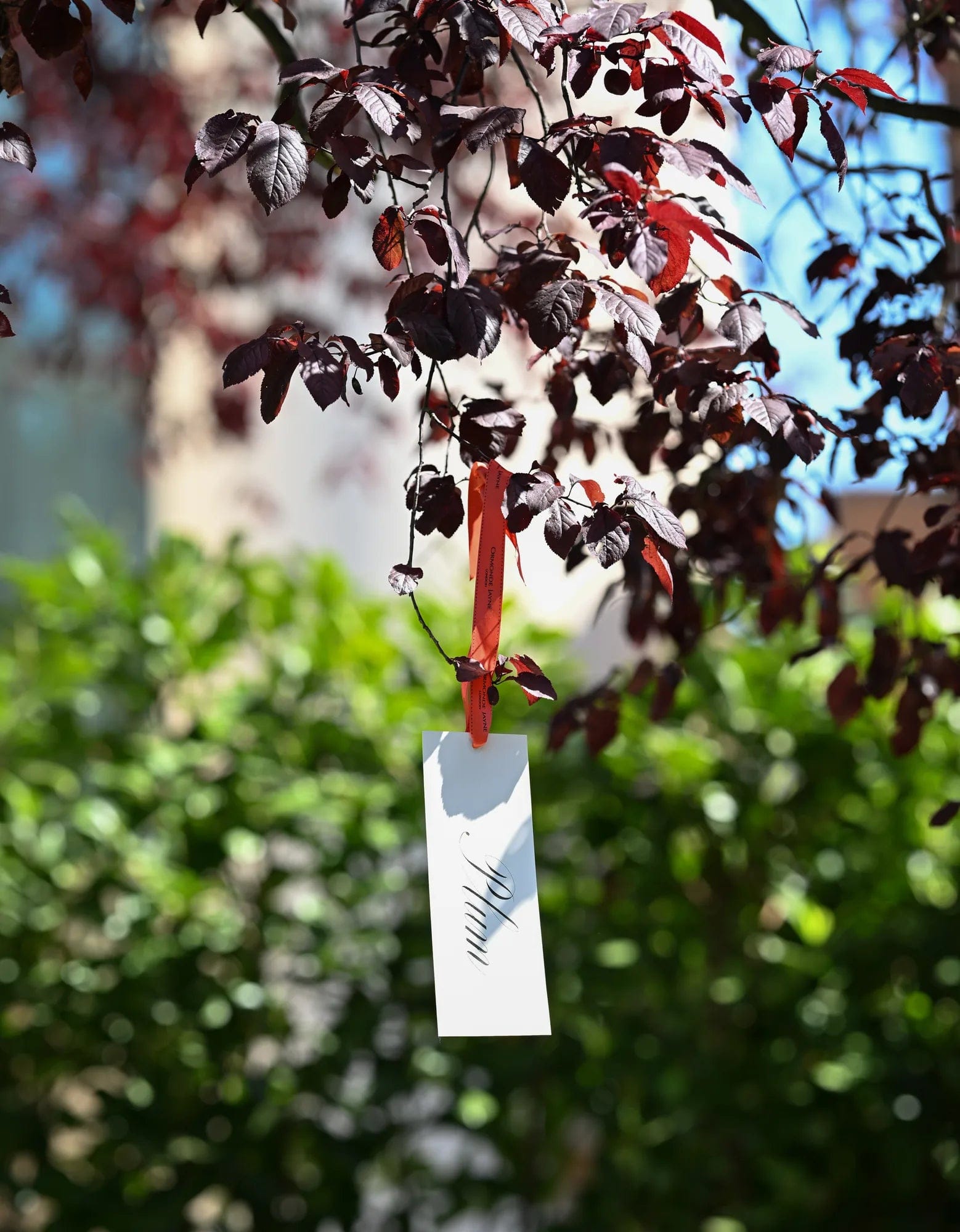 Ormonde Jayne London The Perfumer's Garden Experience