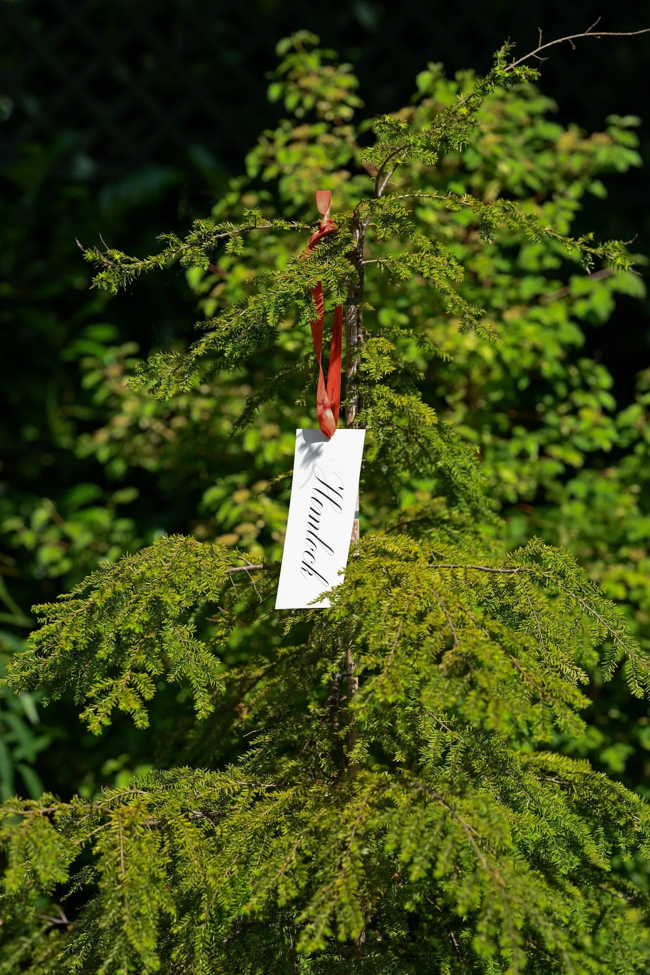 Ormonde Jayne London The Perfumer's Garden Experience