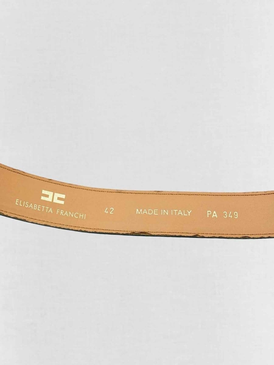 Elisabetta Franchi Turquoise Belt