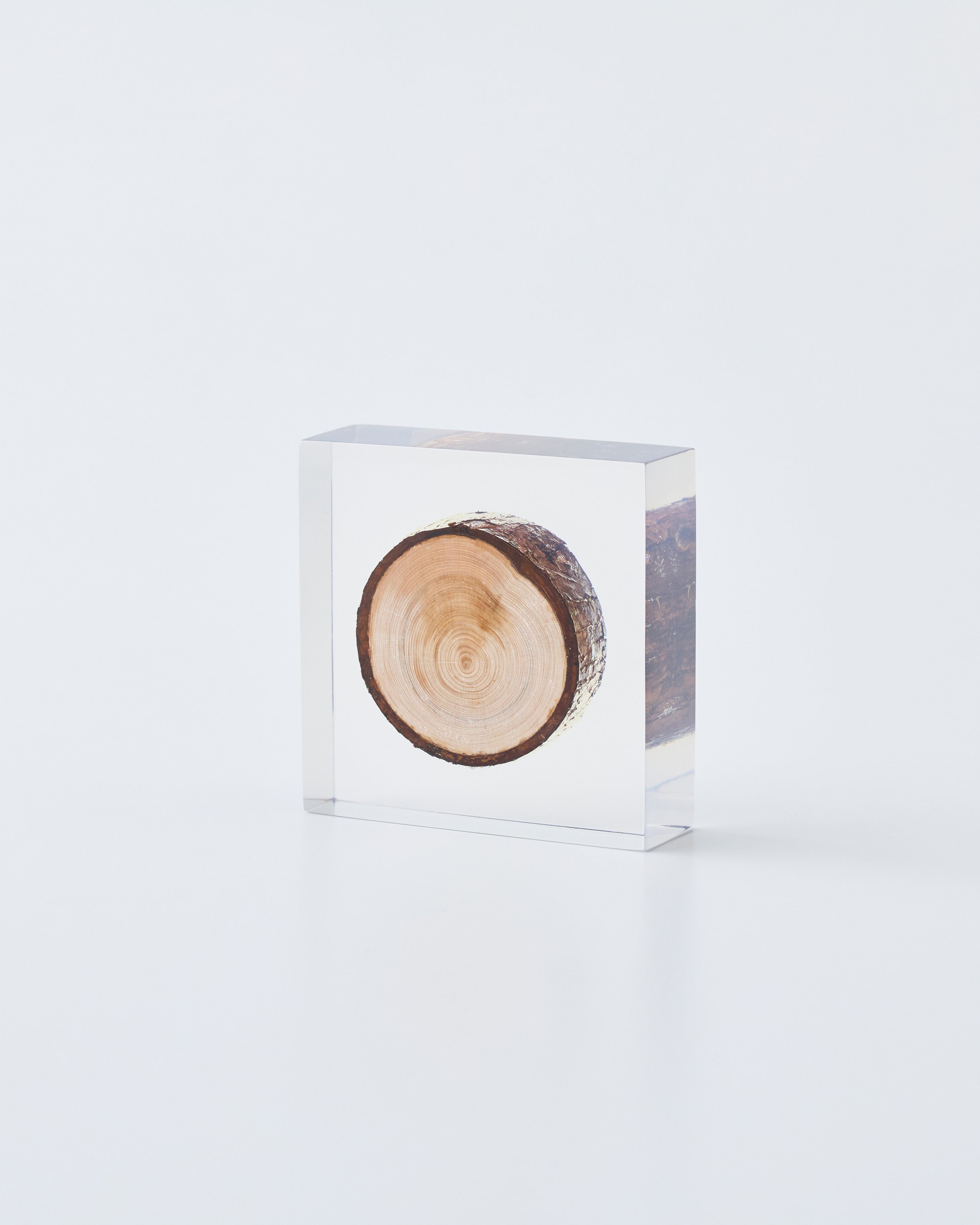 Harper Enclosed branch object diffuser