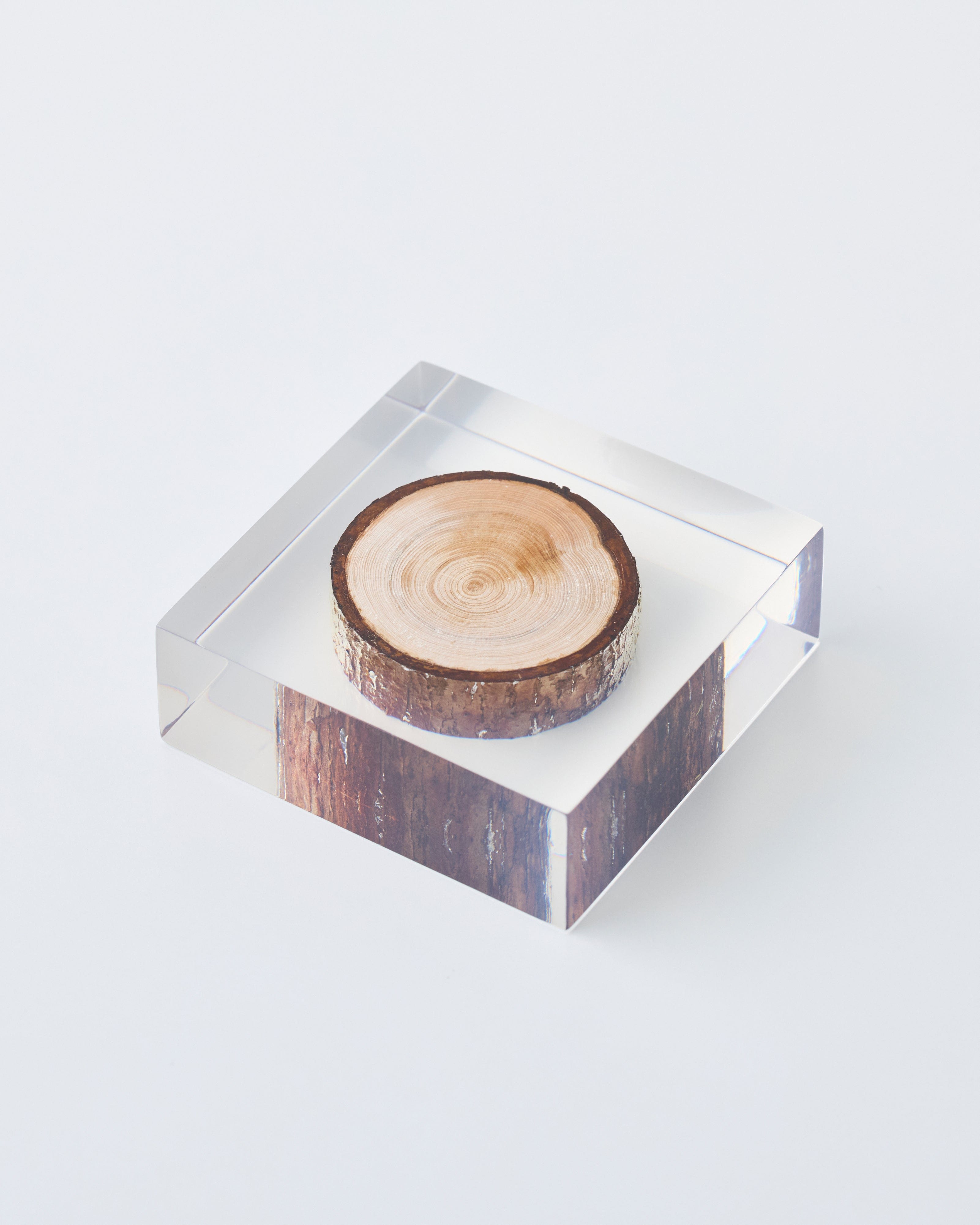 Harper Enclosed branch object diffuser
