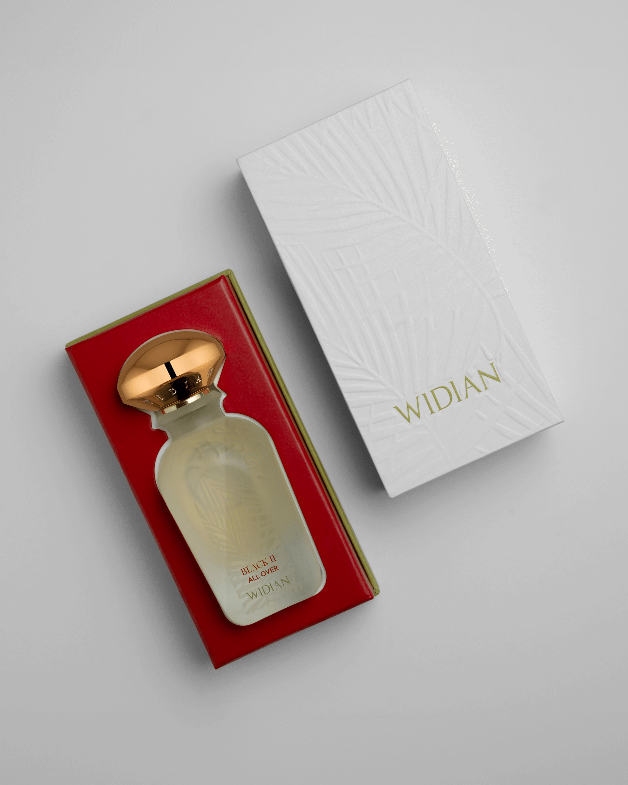 Widian Black II Hair Mist (50 ml)