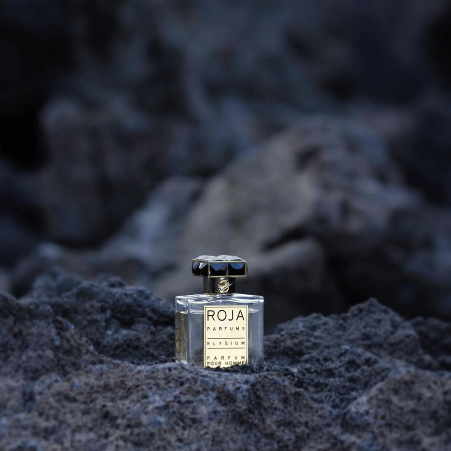 Roja Elysium Pour Homme Parfum