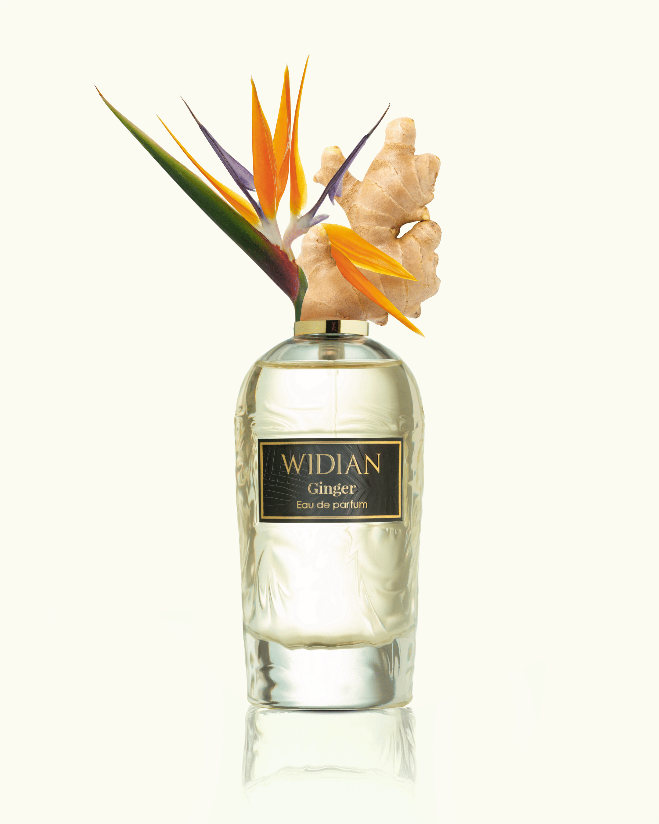 Widian Ginger Parfum (100 ml)