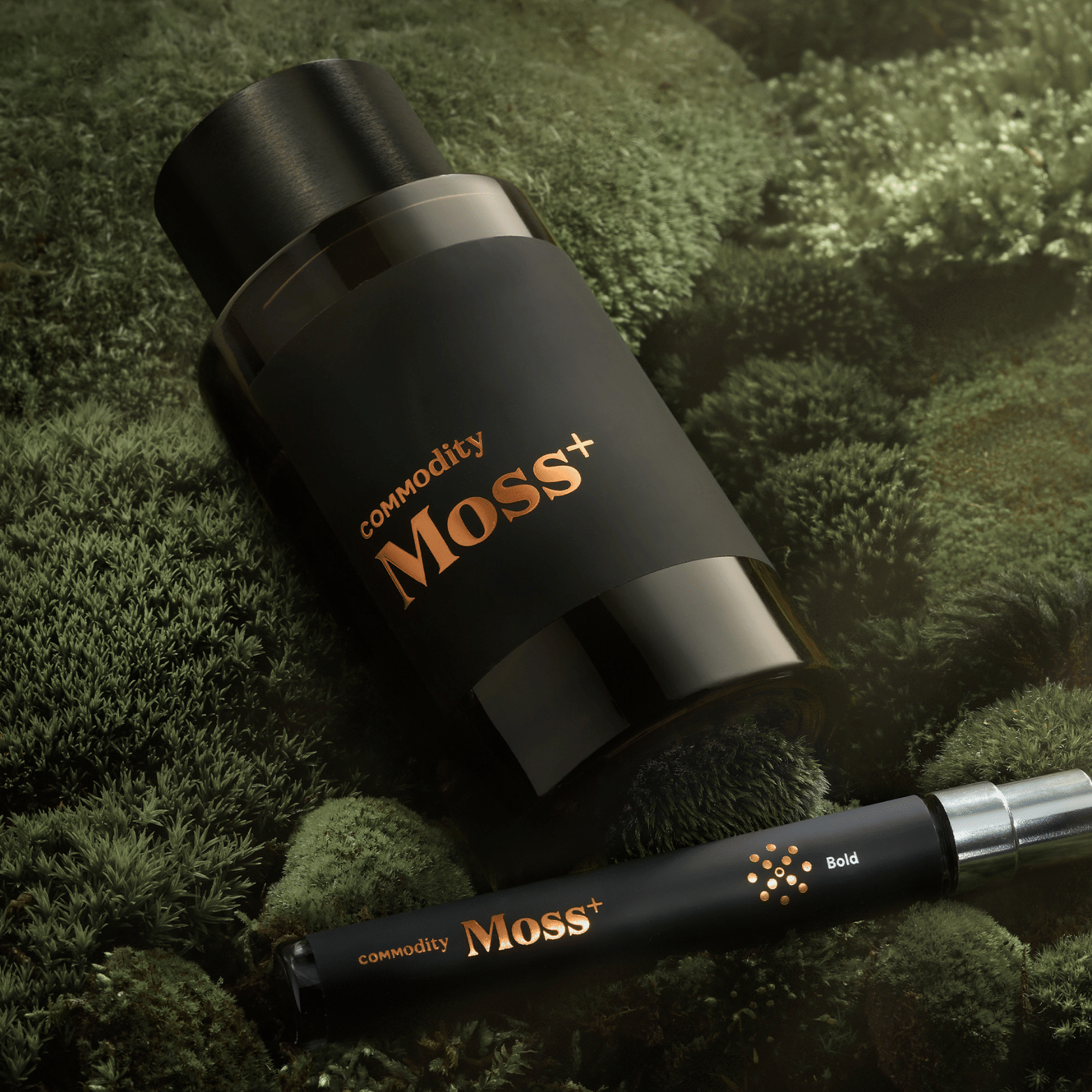 Commodity Moss+ Bold