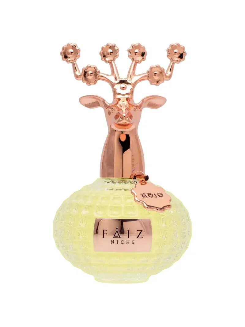Faiz Niche Mojo Extrait De Parfum Unisex 100 ml