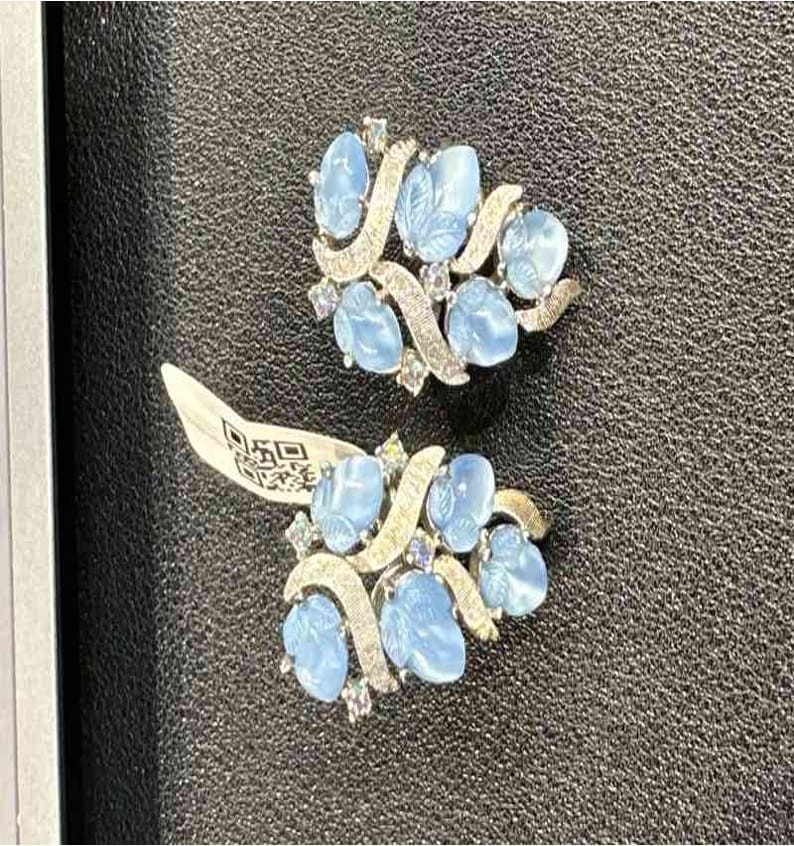 Clips Blue Fruit Pouch Ear Clips LZ601422