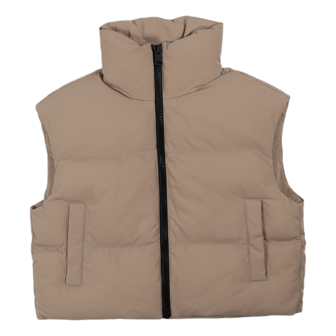 Champion Vest Svk
