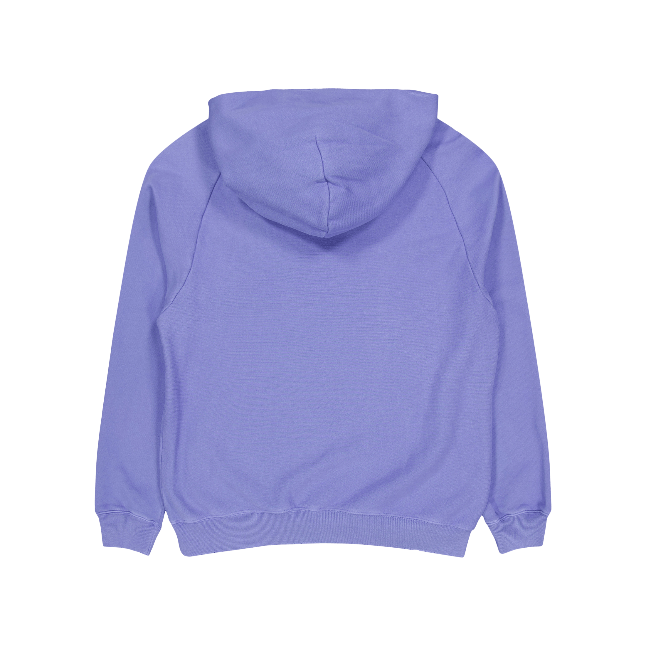 Champion Hooded Sweatshirt Bleached Denim