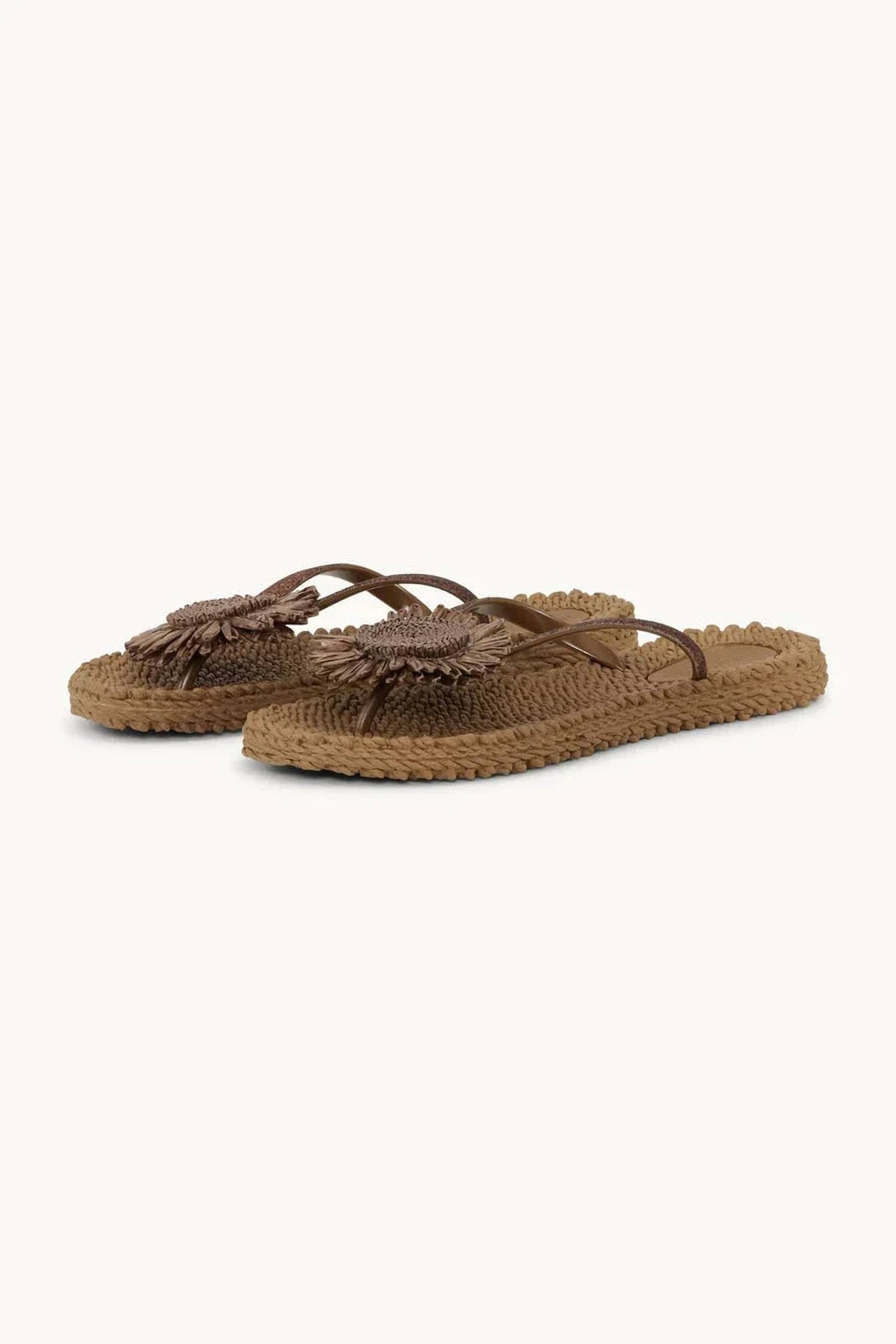 Flower Women's Cheerful Flower Flip Flops In Mocha