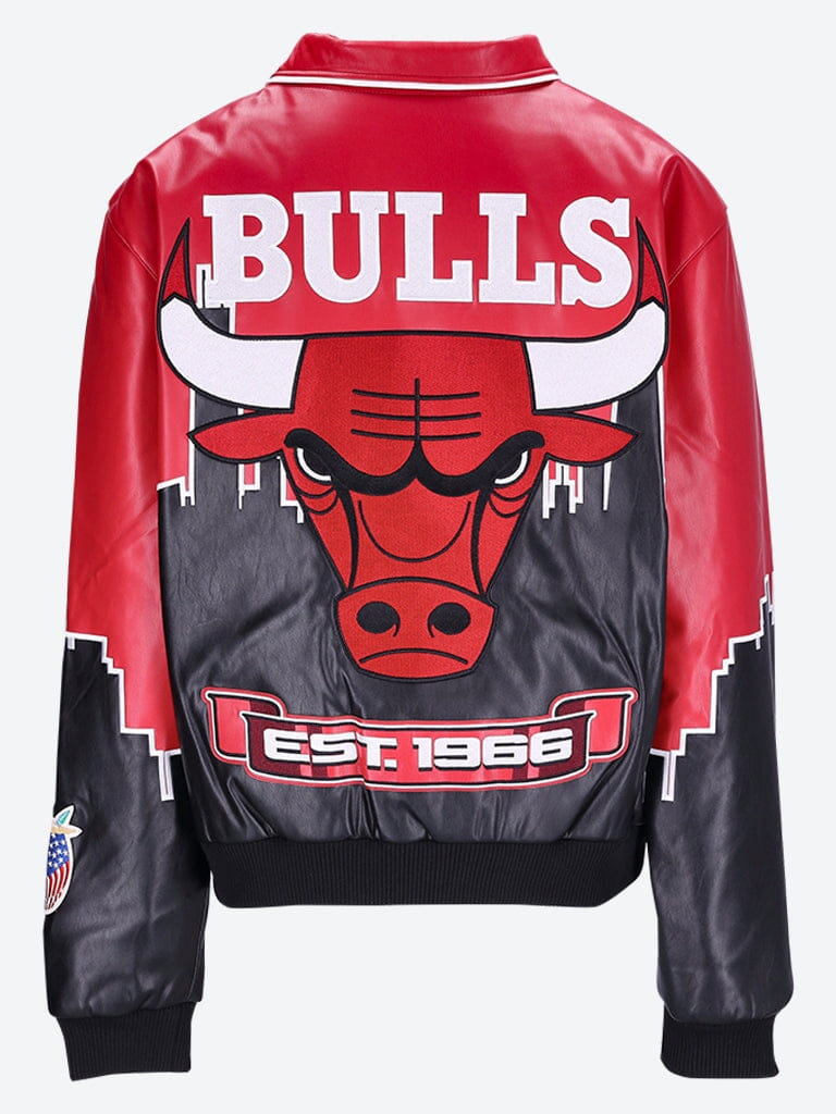 JEFF Hamilton Skyline chicago bulls jacket