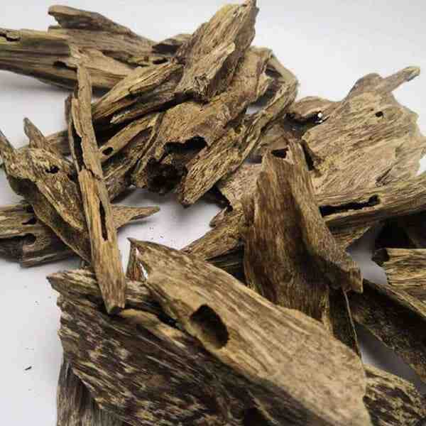 Azalea OUD - Indian Agarwood