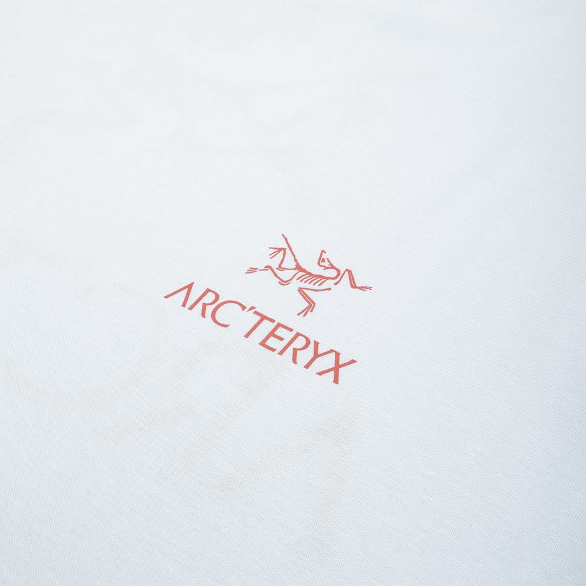 Arc'teryx Kragg SL Cotton Bird Word T - Shirt