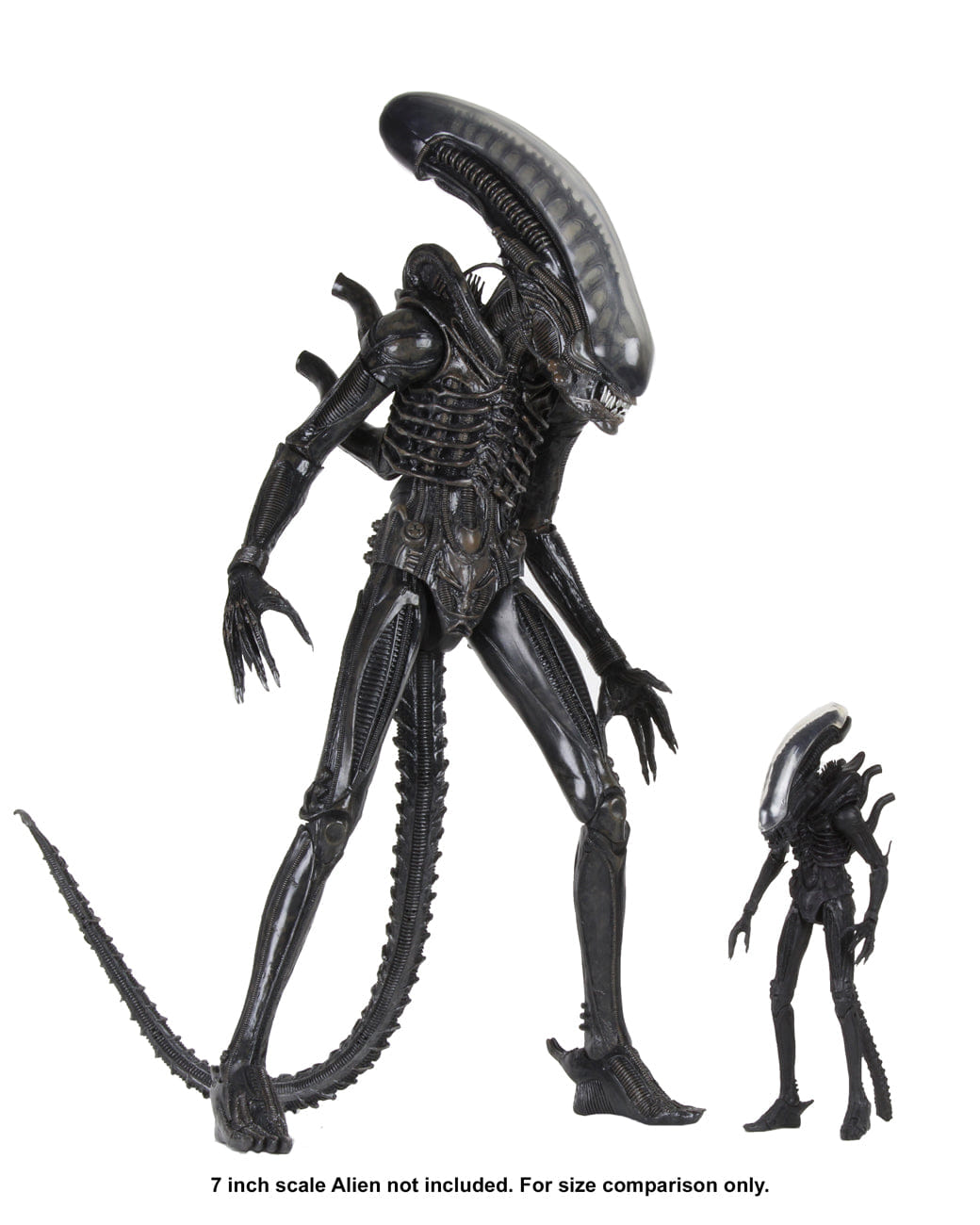 Action Alien – 1/4 Scale Action Figure – 40th Anniversary Big Chap