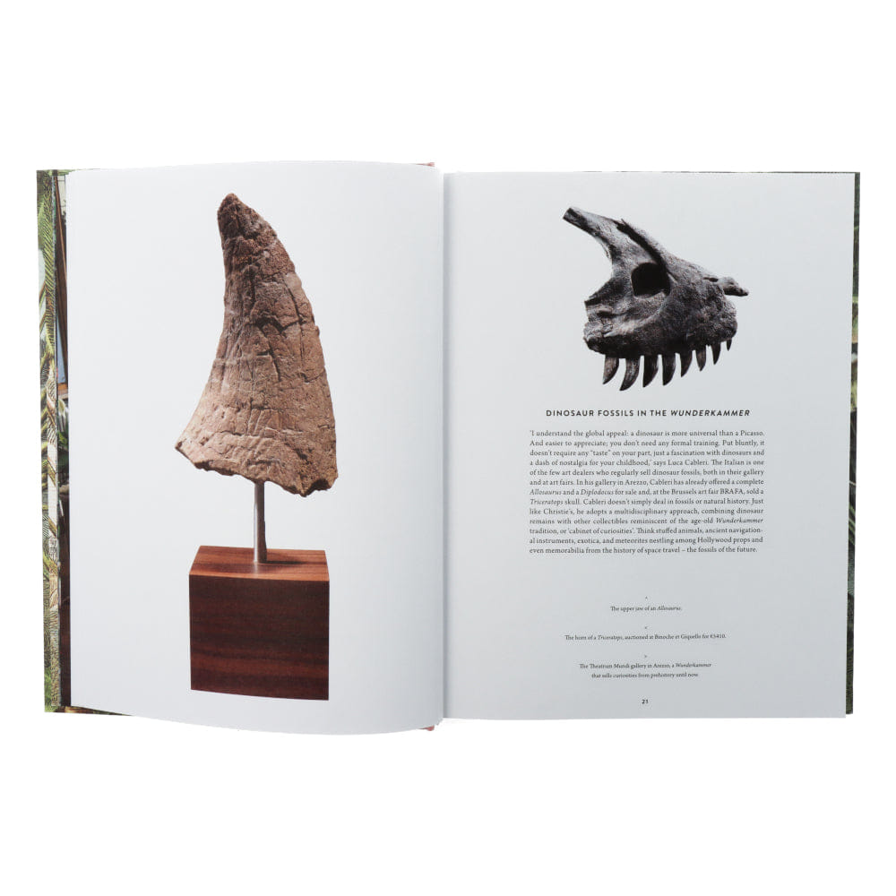 Lannoo Publishers Dinosaurs are collectible