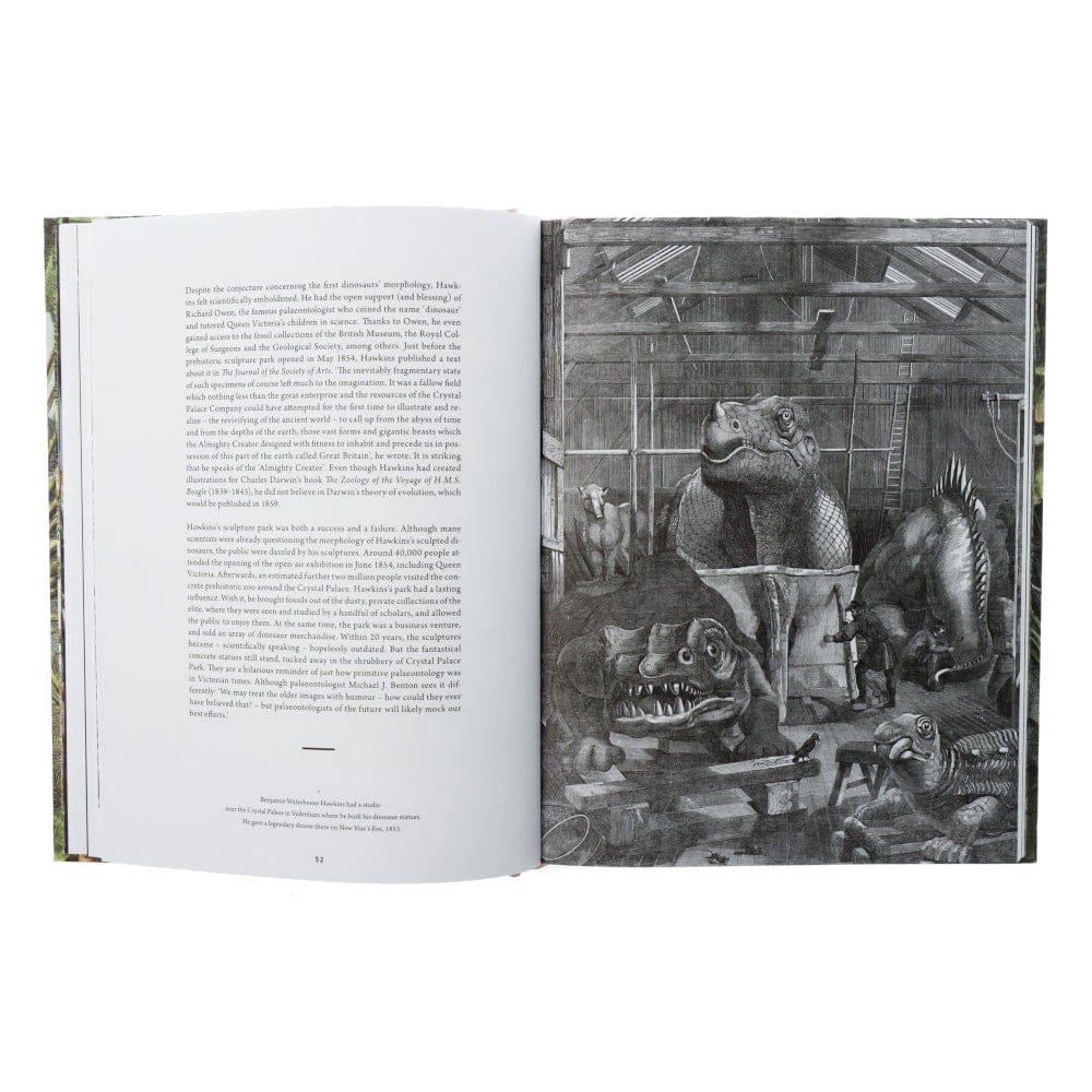Lannoo Publishers Dinosaurs are collectible