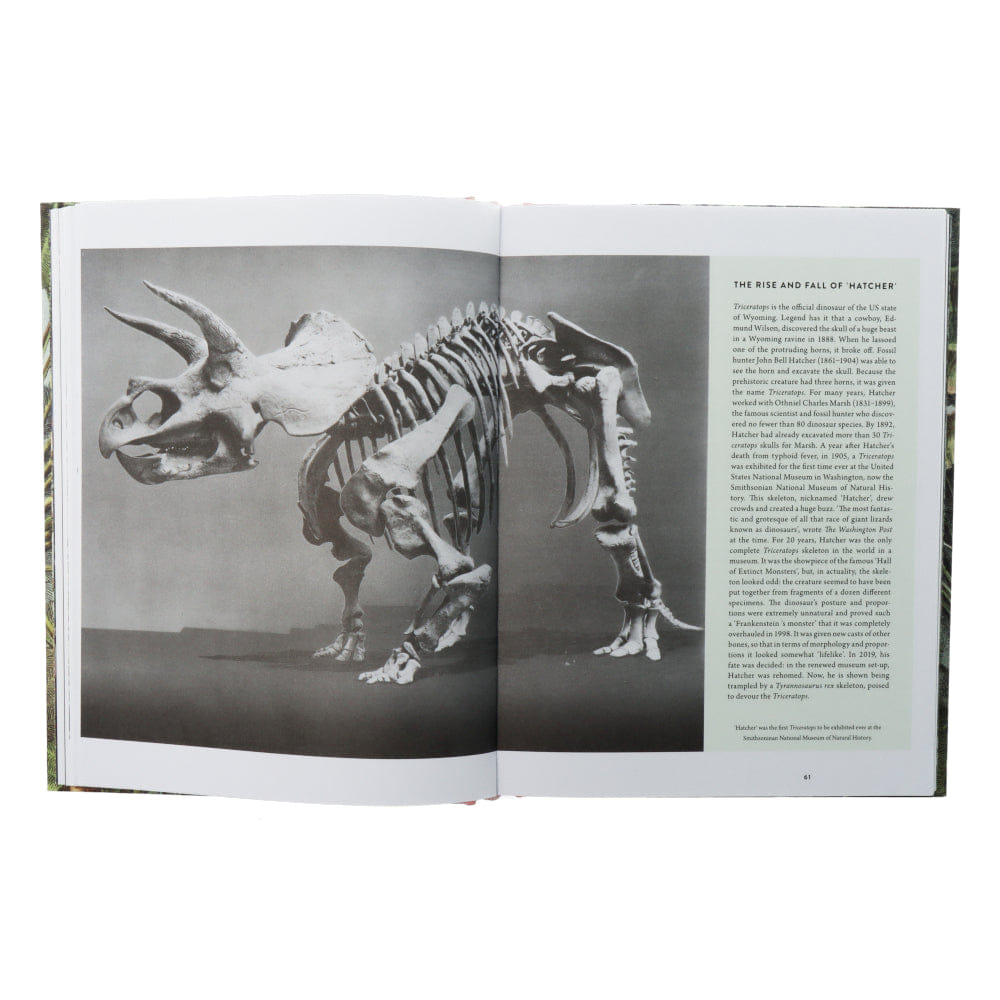 Lannoo Publishers Dinosaurs are collectible