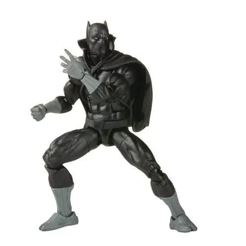 Hasbro Marvel Legends Wakanda Forever Black Panther 6 - Inch Action Figure