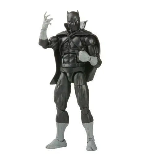 Hasbro Marvel Legends Wakanda Forever Black Panther 6 - Inch Action Figure