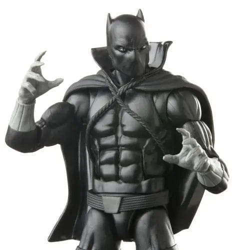 Hasbro Marvel Legends Wakanda Forever Black Panther 6 - Inch Action Figure