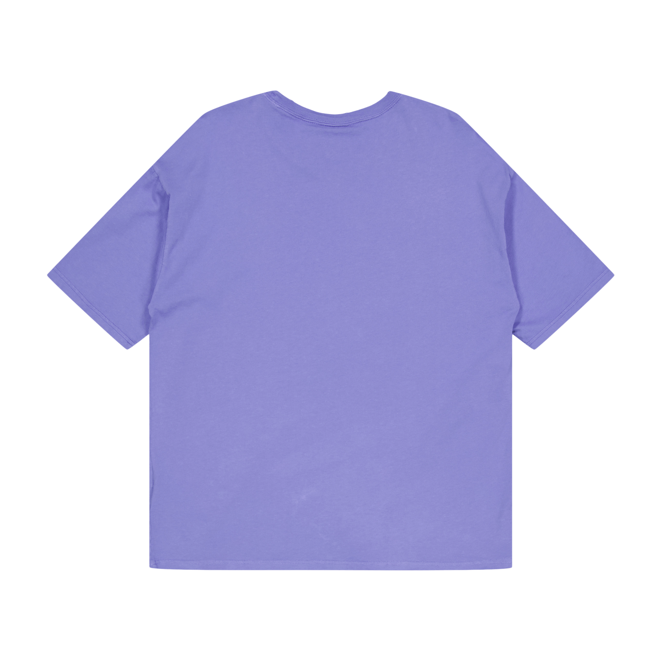 Champion Crewneck T - shirt Bleached Denim