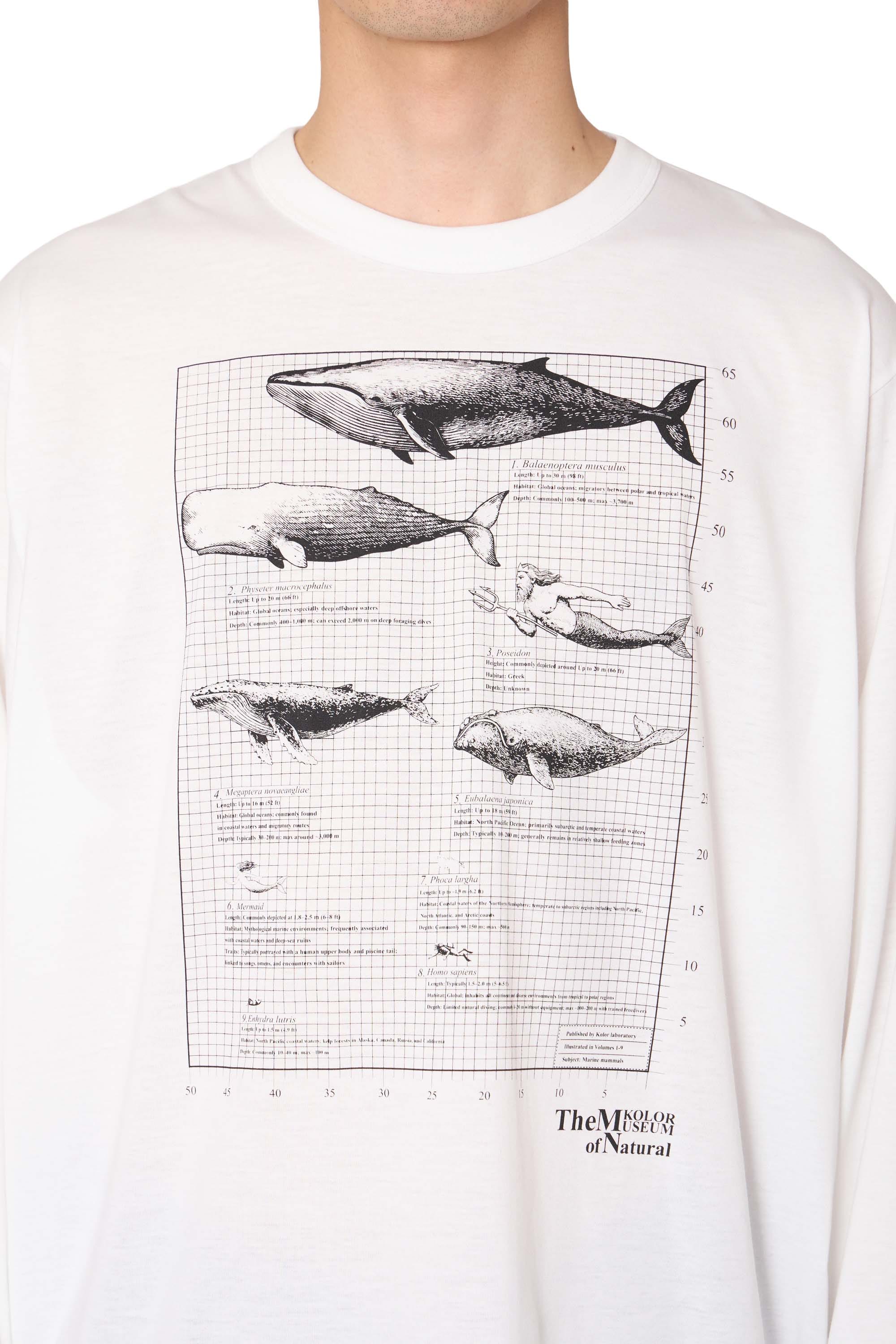 Kolor 26WCM - T17208 - 00 Tops