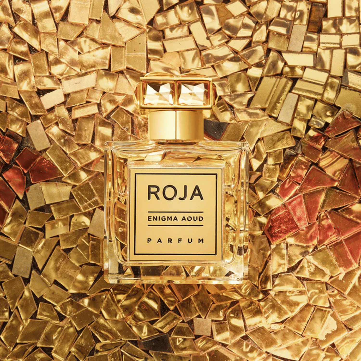 Roja Enigma Aoud Parfum