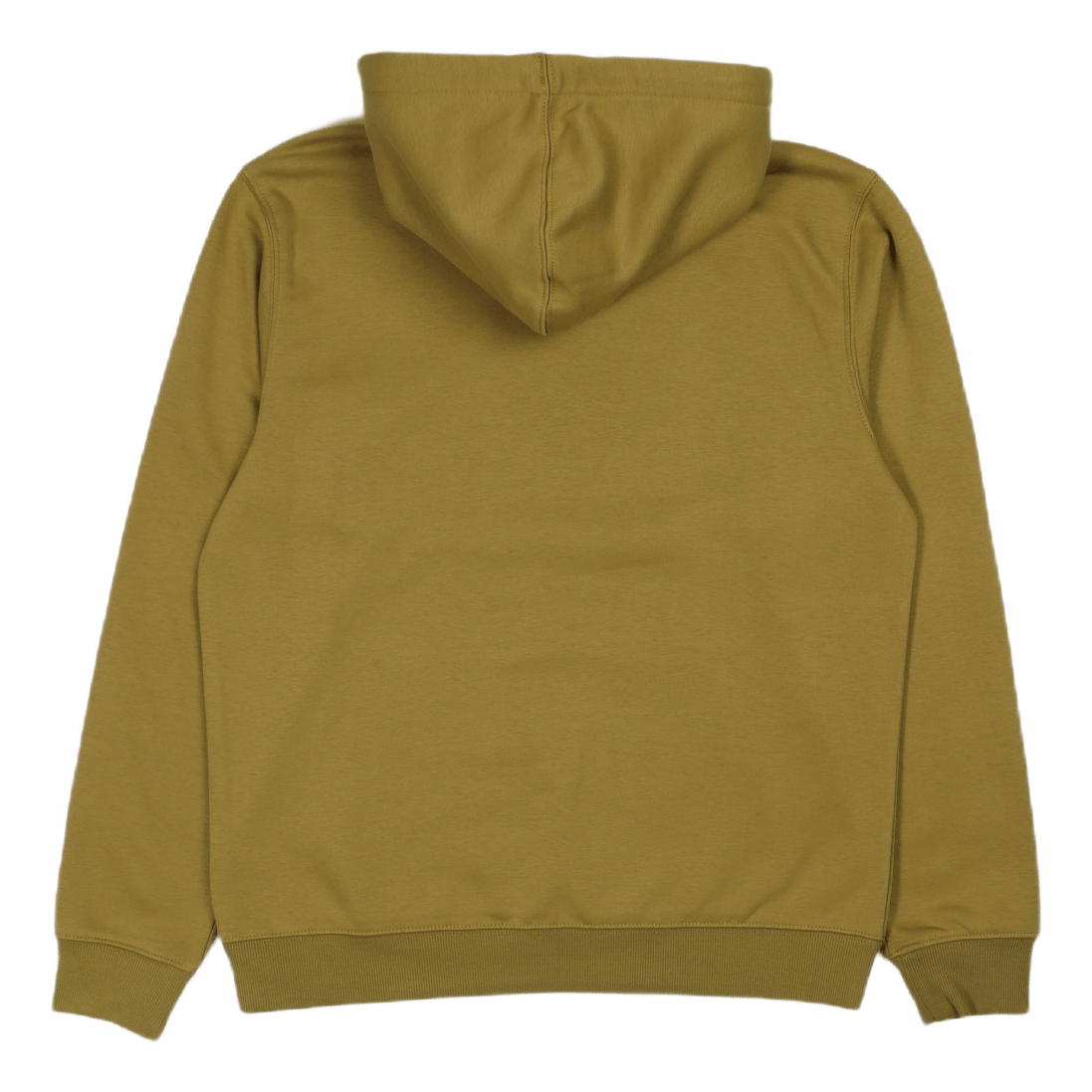 Dickies Oakport Hoodie Green Moss