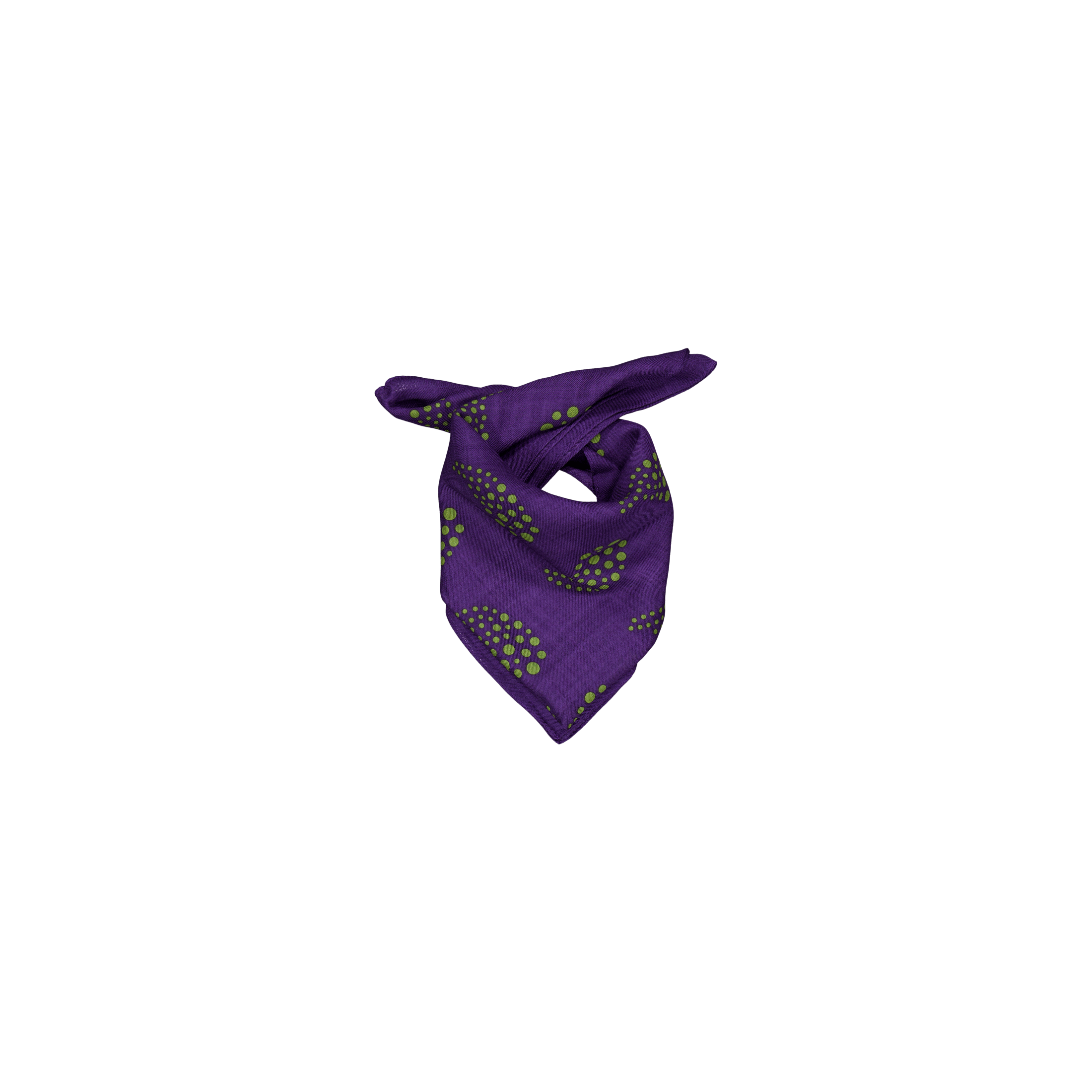 Needles Scarf - W/s Twill / Paisley Pr A - purple