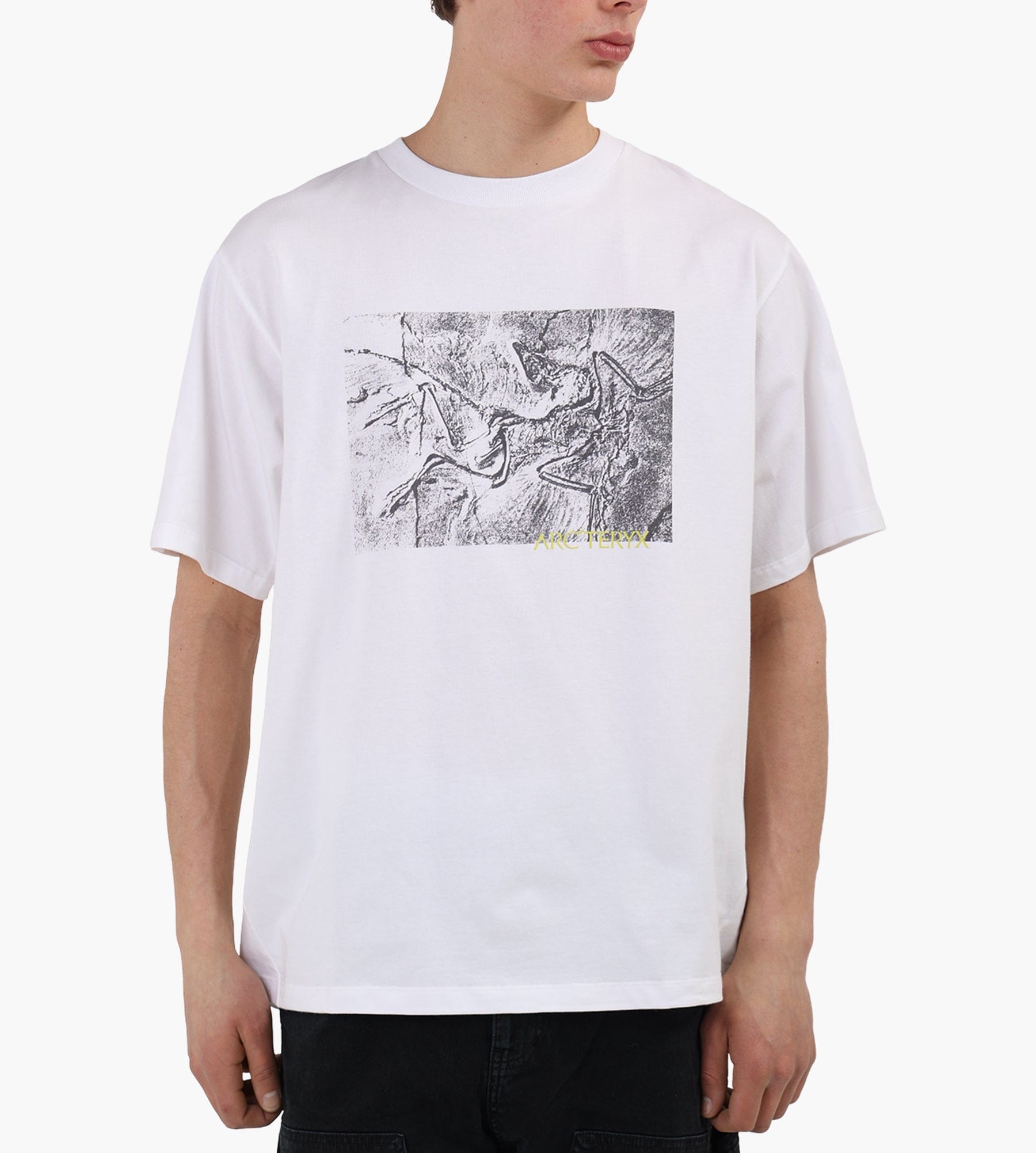 Arc'teryx Kragg Cotton Lithographica SS T-Shirt M White Light