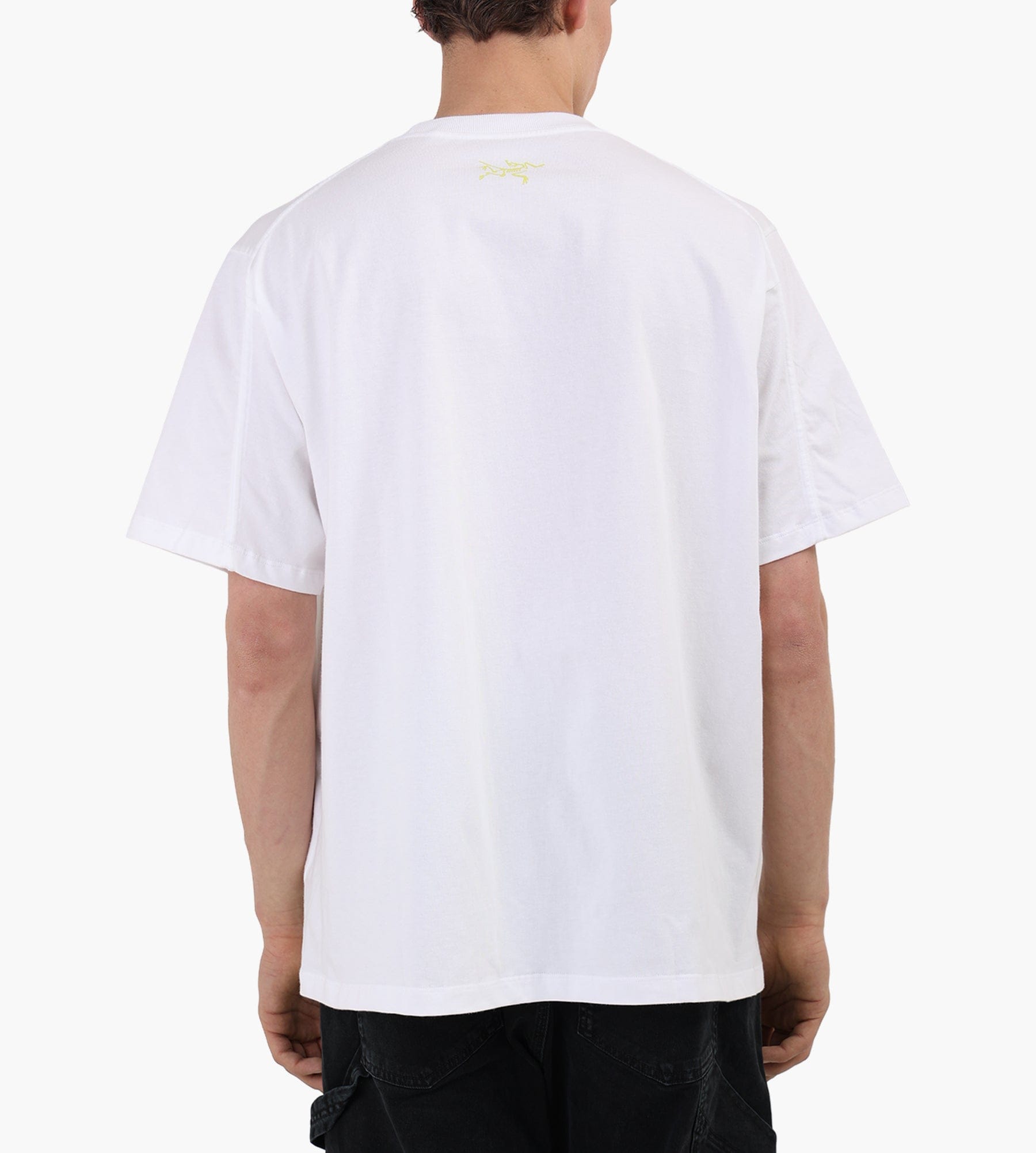 Arc'teryx Kragg Cotton Lithographica SS T-Shirt M White Light