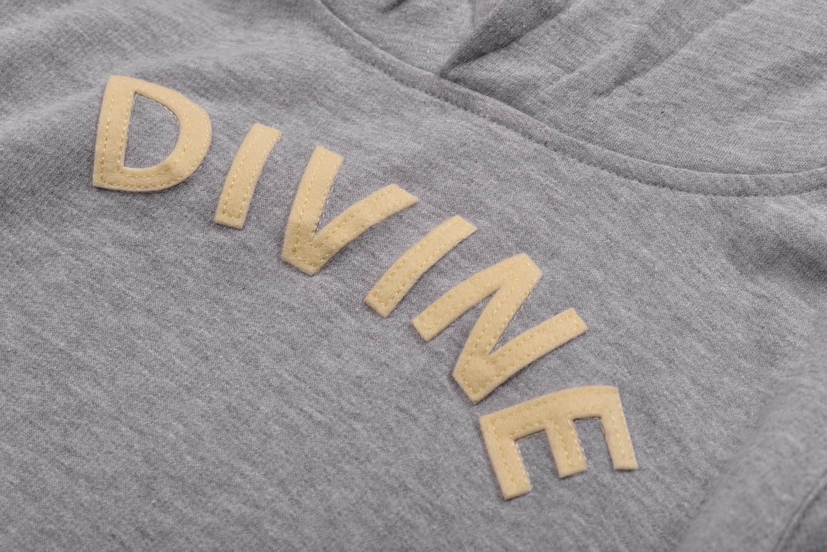 Lapstone & Hammer DIVINE TODDLER HOODIE - GREY