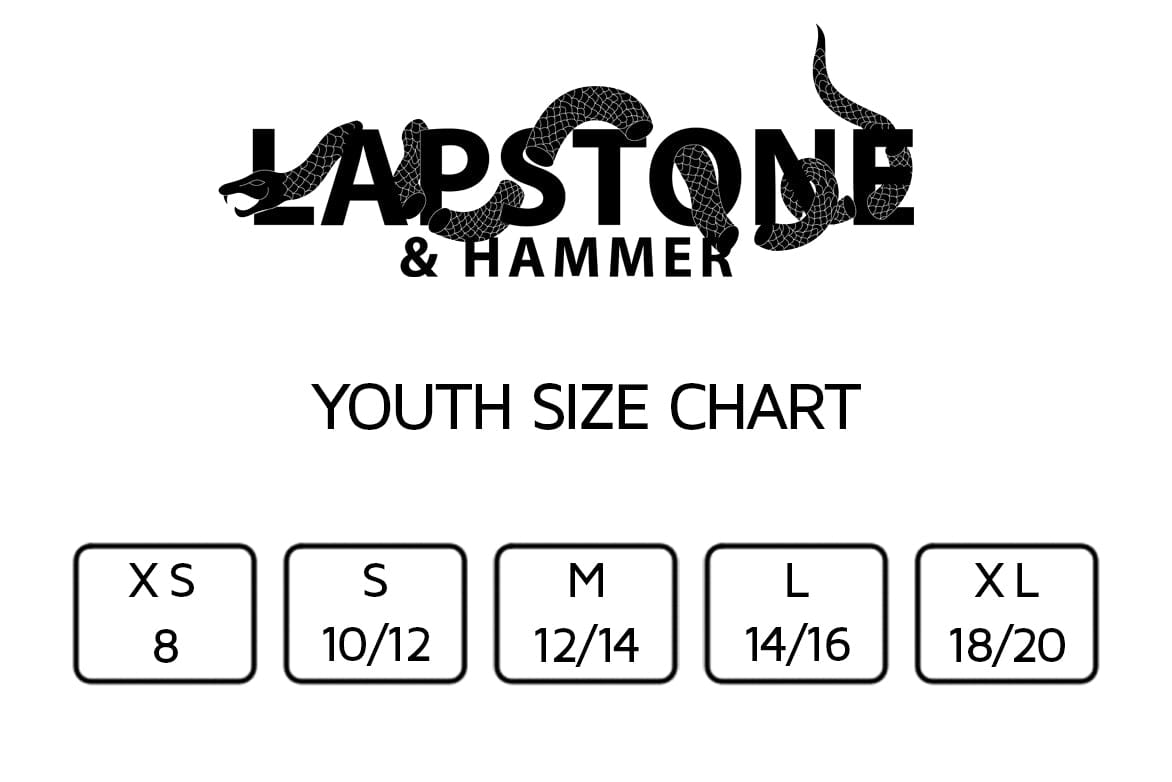 Lapstone & Hammer DIVINE YOUTH HOODIE - GREY