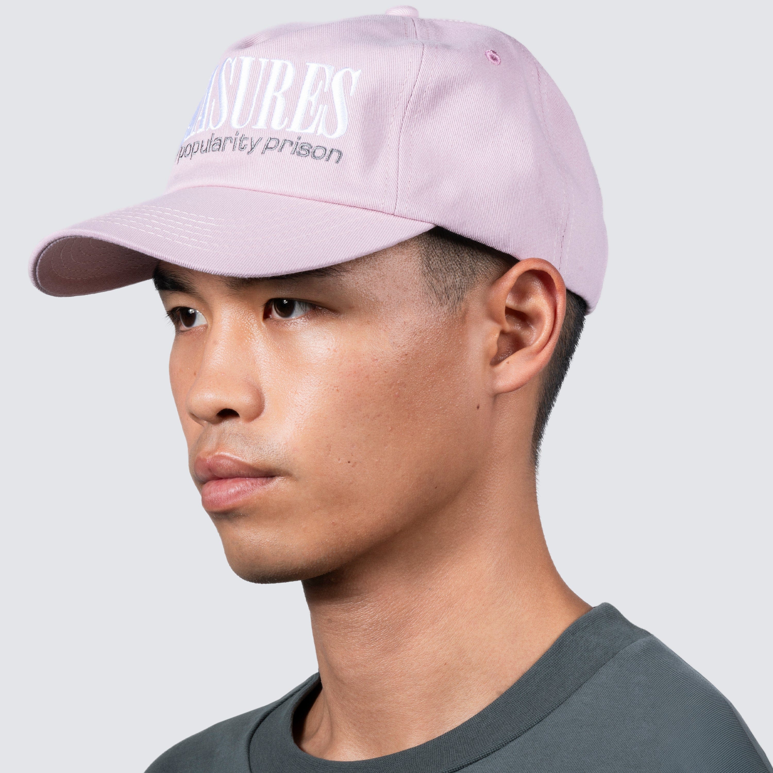 Pleasures DIGITAL SNAPBACK (MAUVE)