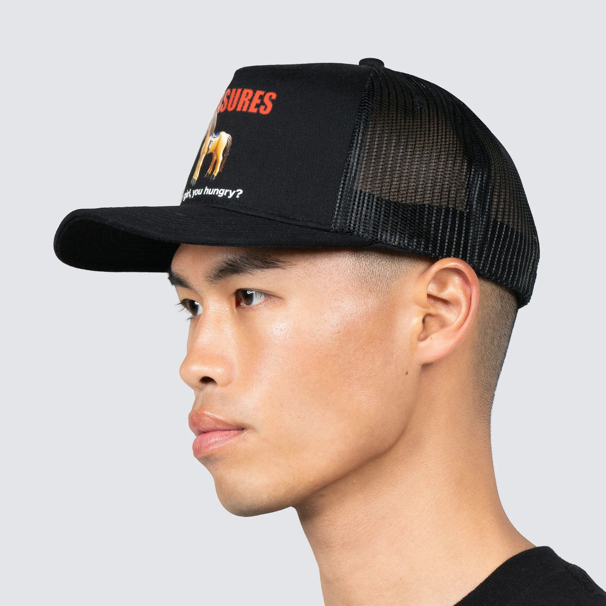 Pleasures HORSE TRUCKER CAP