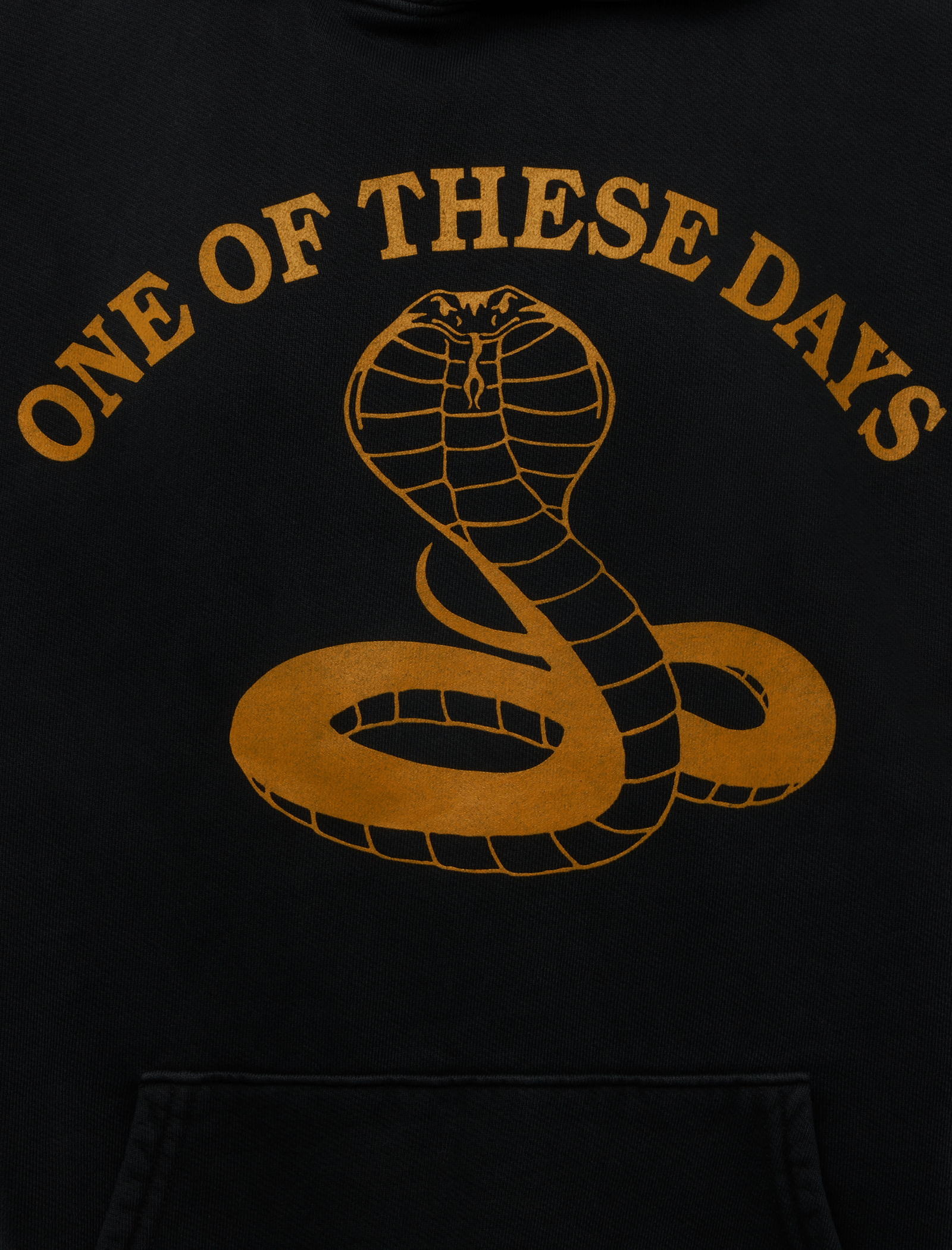 ONE of THESE DAYS COBRA PULLOVER HOODIE