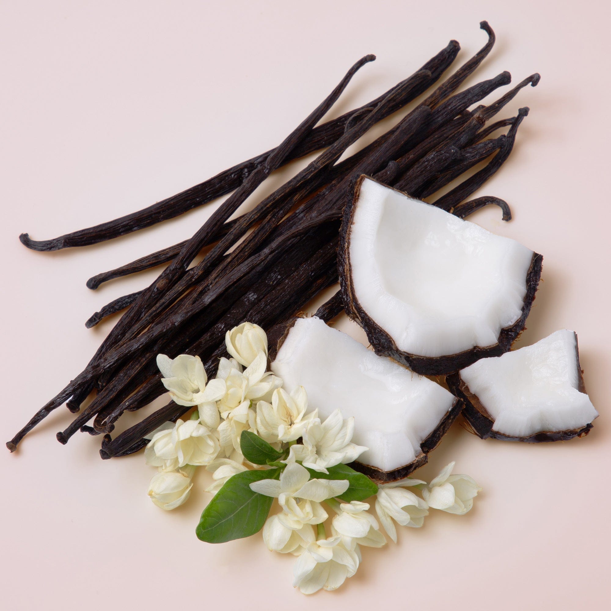 vanilla Utopia Vanilla Coco | 21