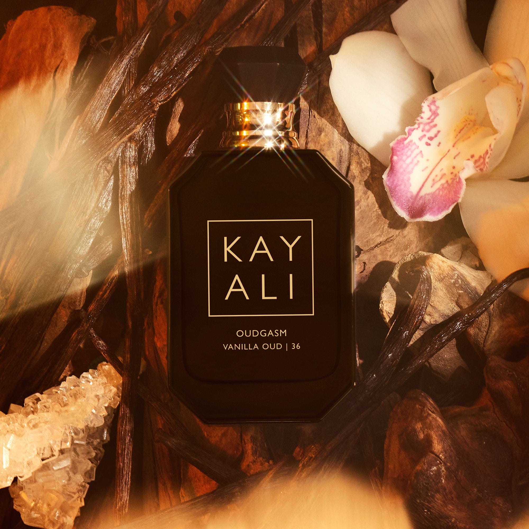 vanilla Oudgasm Vanilla Oud | 36